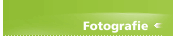 Fotografie
